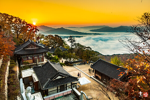 운길산 수종사 일출 , 경기도 가볼만한곳 남양주 운길산 수종사 등산코스